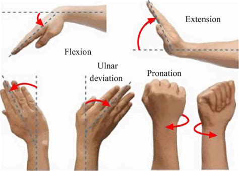 thick of test wrist|ulnar deviation wrist test.